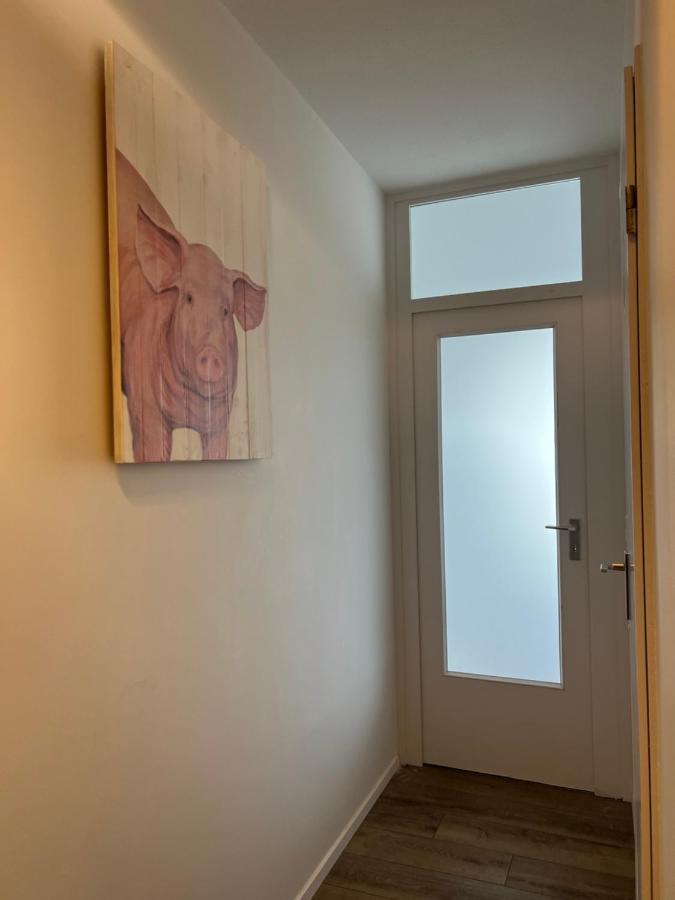 דירות שלזוויג Inselblick 2 מראה חיצוני תמונה